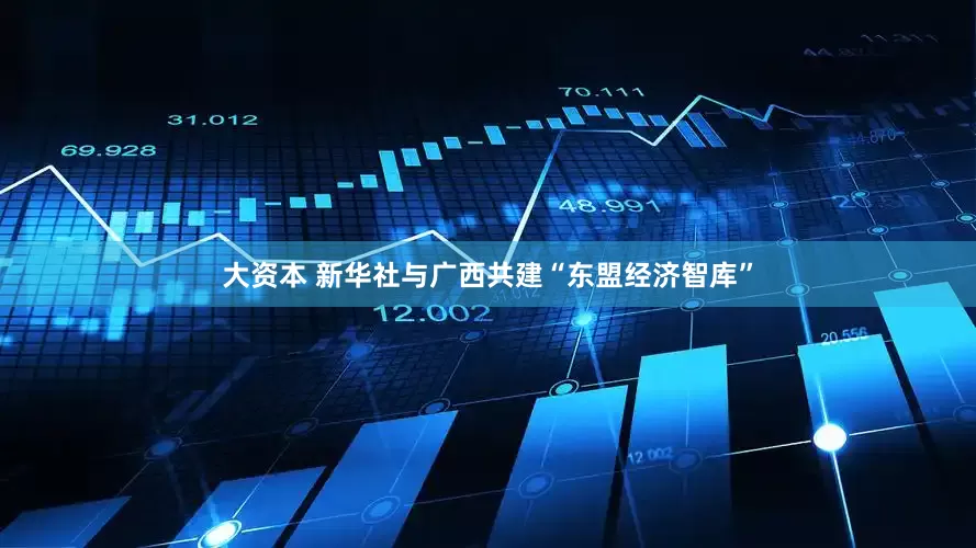 大资本 新华社与广西共建“东盟经济智库”